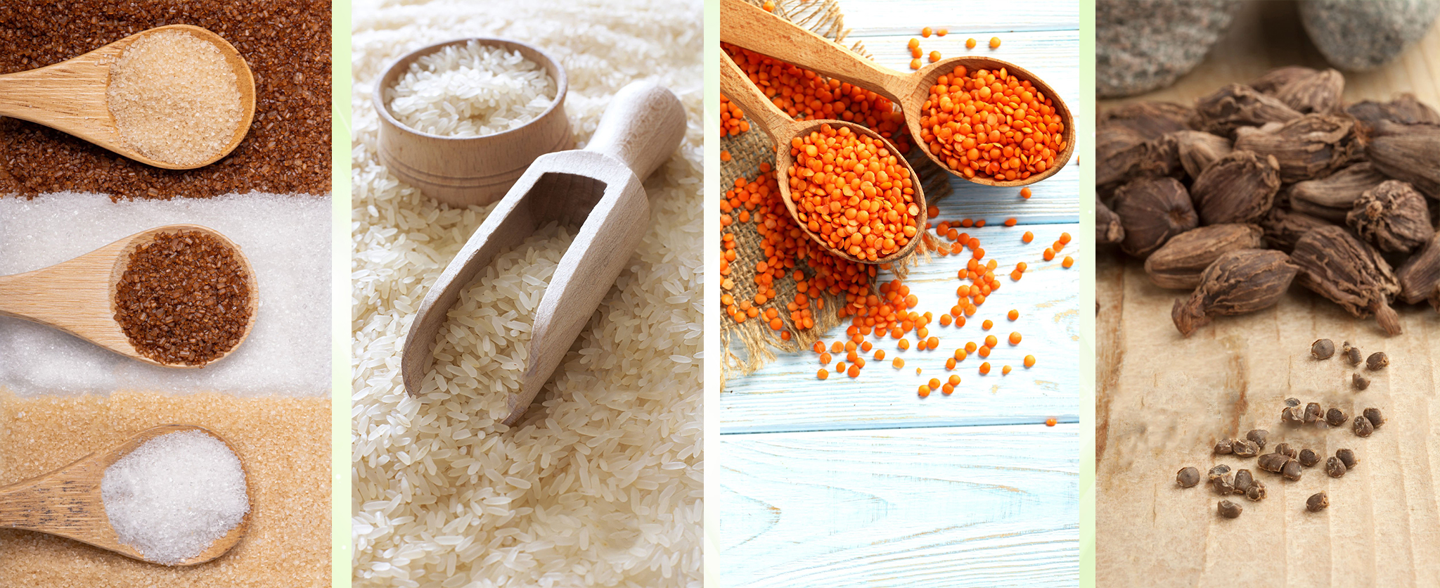 [Your Company Name] cultivates, processes, and supplies ethically sourced cane sugar at competitive prices.